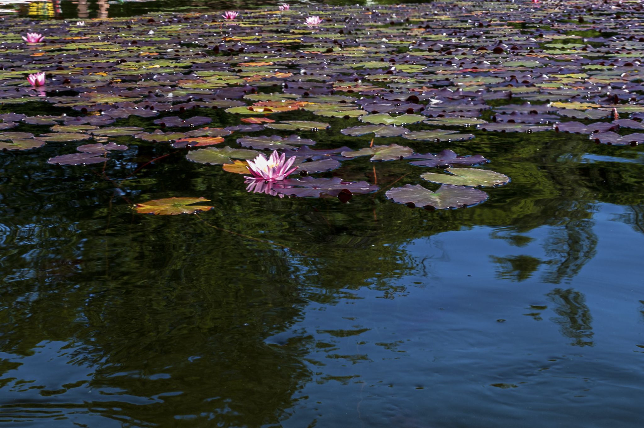 Kajaktour Staffelsee 12.06.22